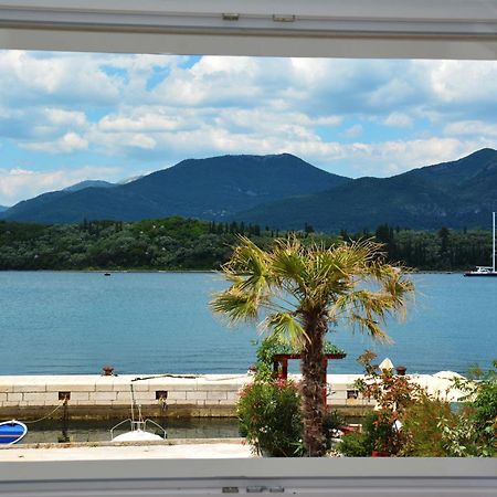 Apartments Harmonia Tivat Rum bild
