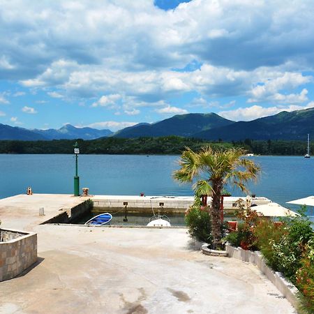 Apartments Harmonia Tivat Rum bild