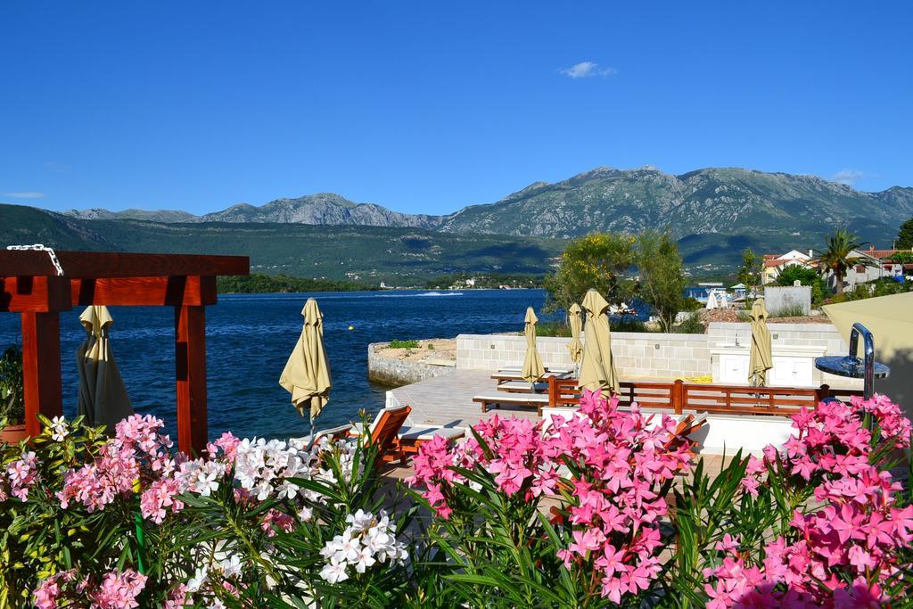 Apartments Harmonia Tivat Exteriör bild
